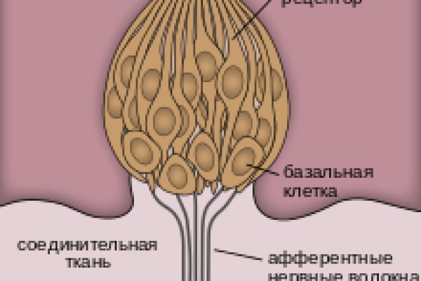 Кракен даркент