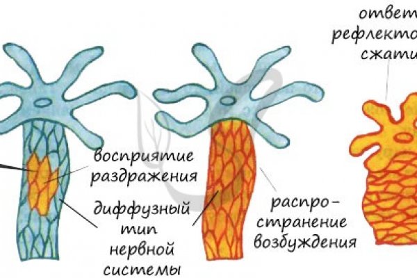 Кракен офф сайт