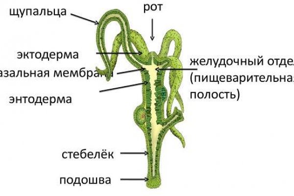 Ссылка на кракен в браузере